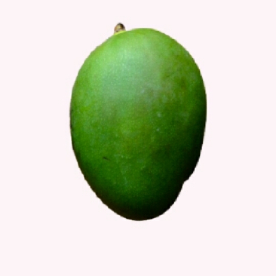 Raw Mango