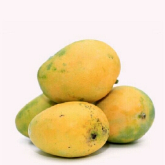 Mango Safeda