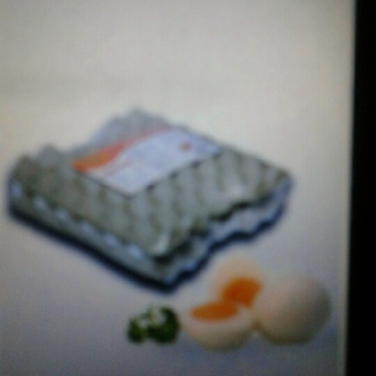 Egg