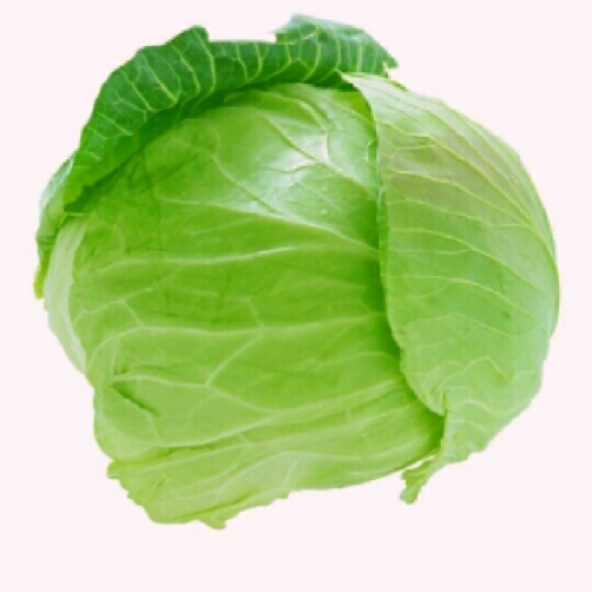 Cabbage