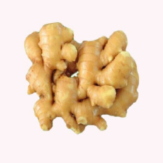 Ginger