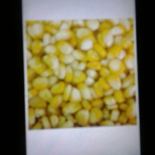 sweet corn - Pellets