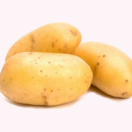 Potato