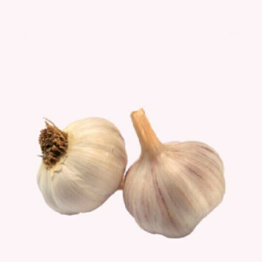 Garlic (Lehsun)