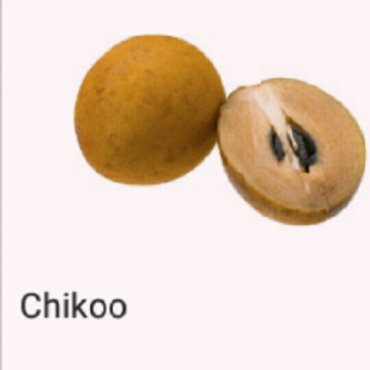 (Sapota) Chikoo