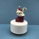 Mini Cat in Santa Shoe Music Box