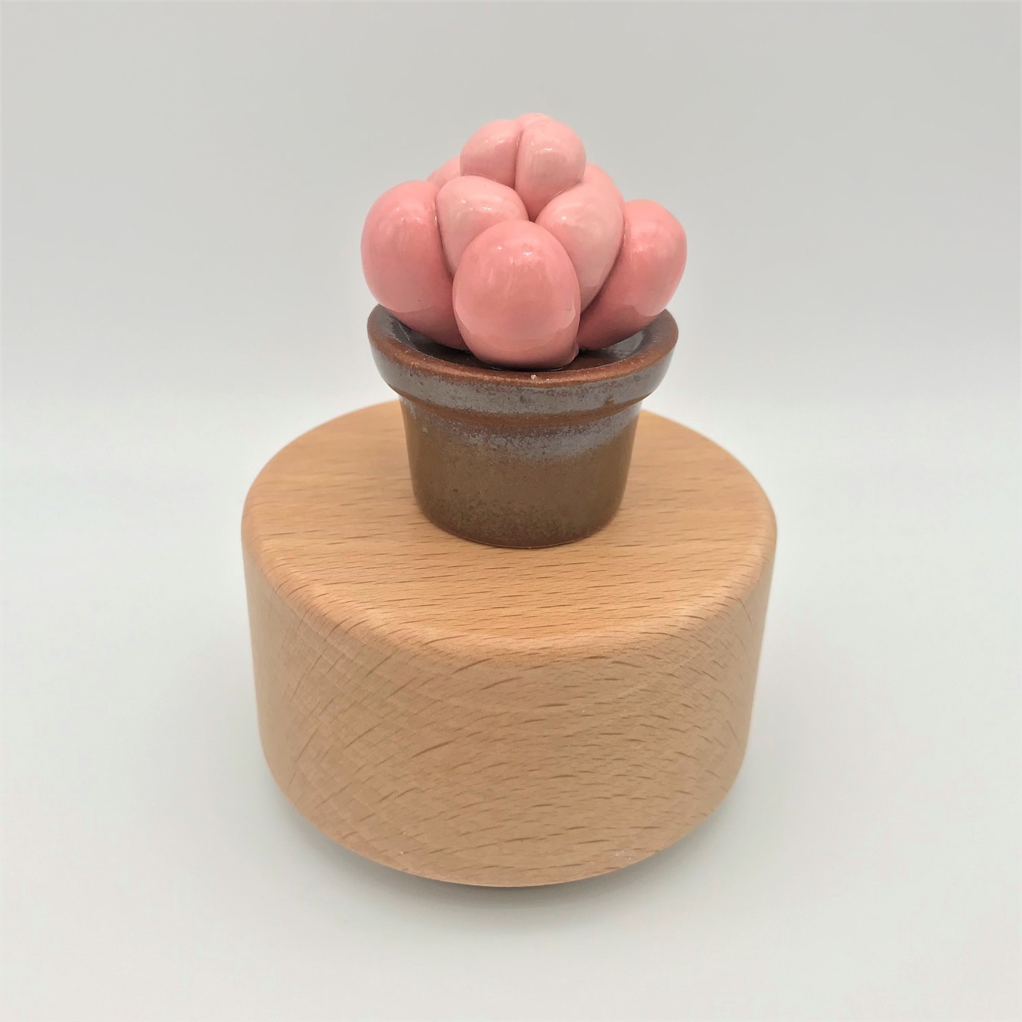Cactus Music Box - Cubby Pink