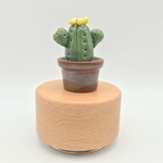 Cactus Music Box - Fatty Green