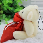 Candy Bear Carrier