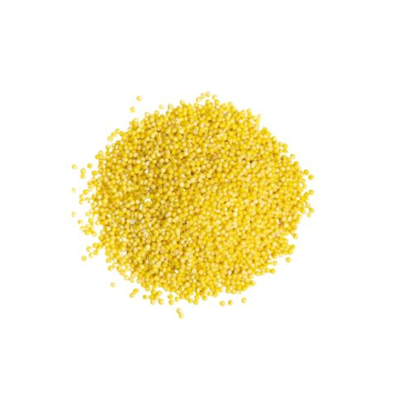 Proso Millet