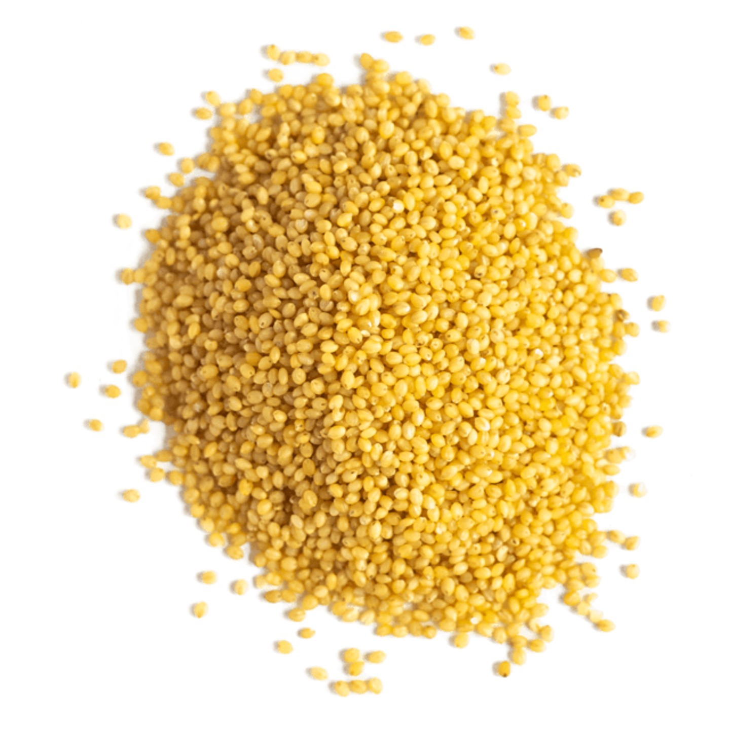 Foxtail Millet Whole