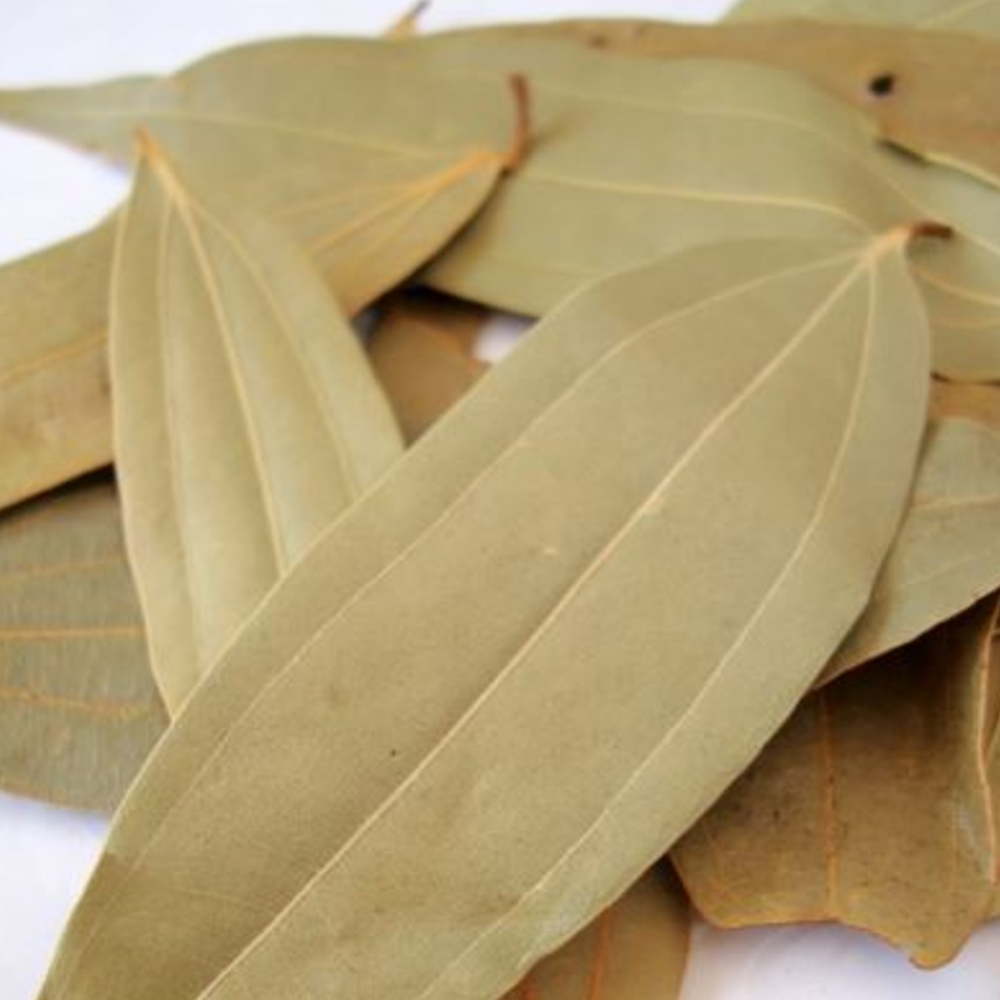 Biryani leaves
