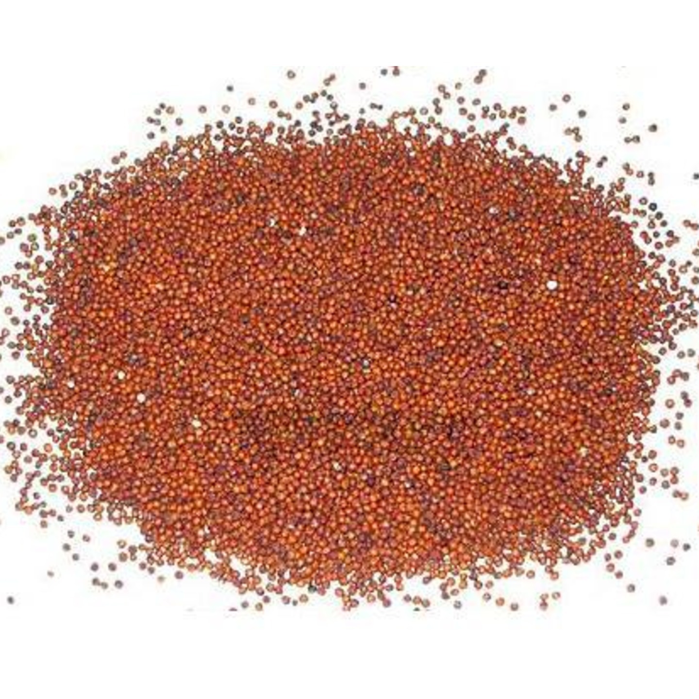 Finger Millet  Ragi Whole