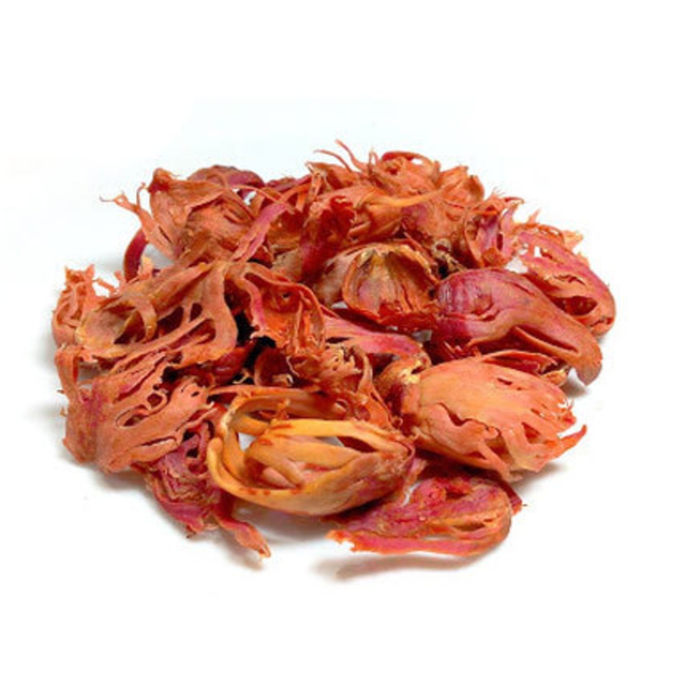 Mace  Javithri - Natural