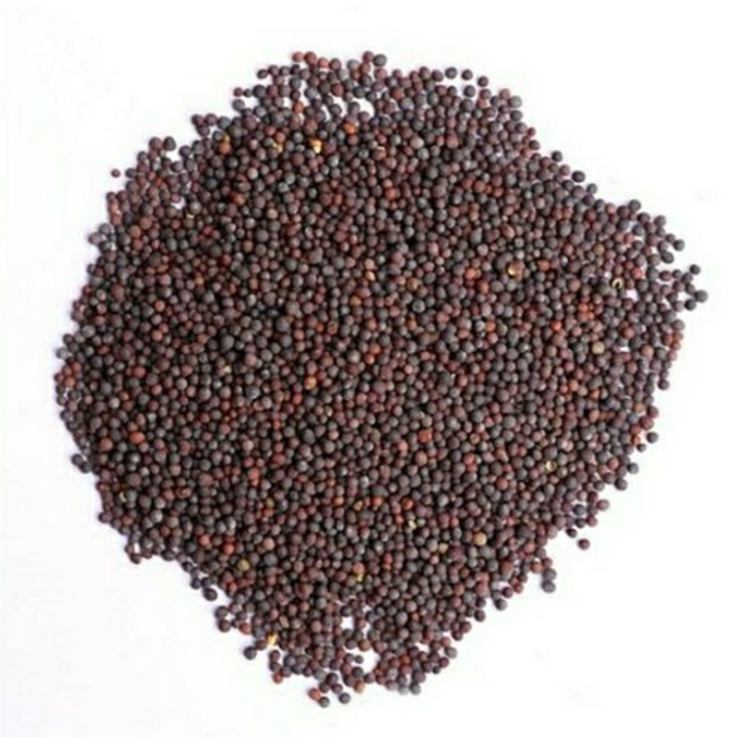 Mustard  Small - Organic