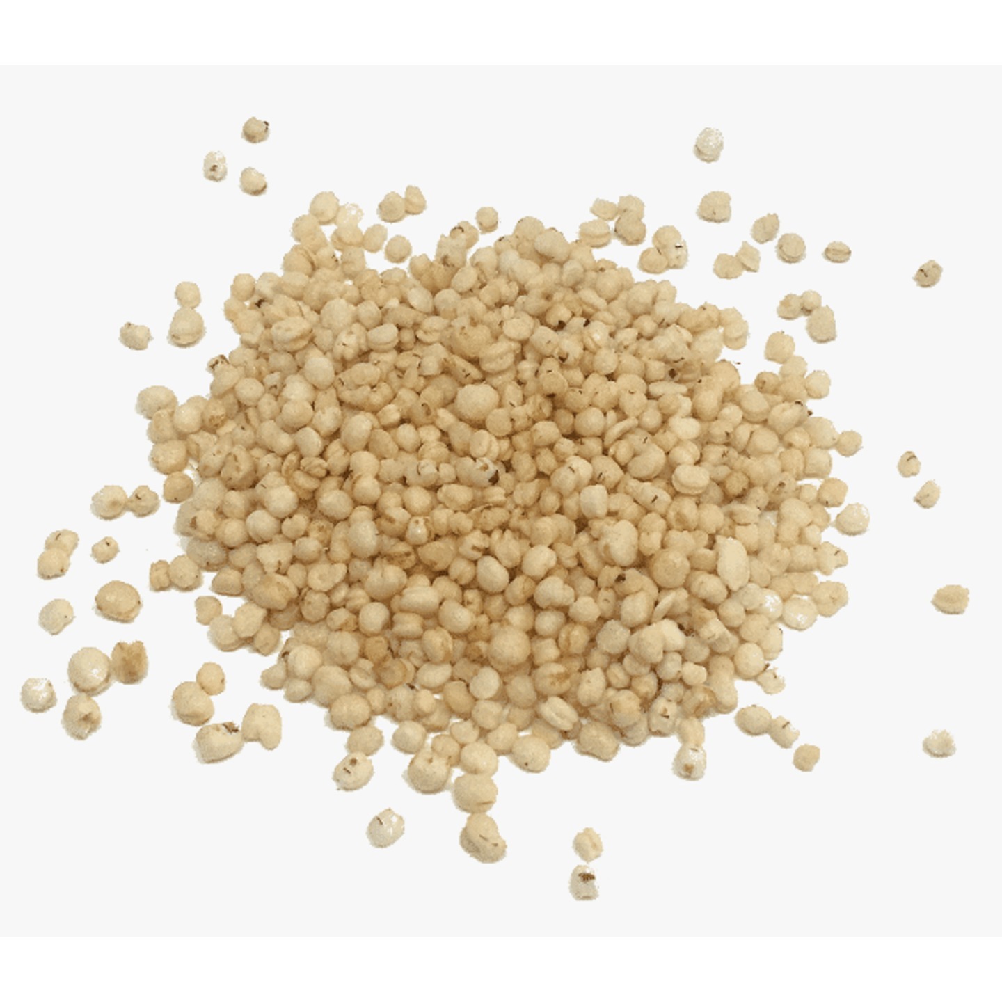 Sorghum  Jowar Whole