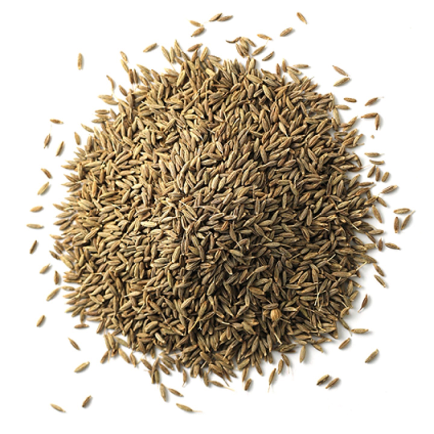 Cumin  Jeera Whole - Organic