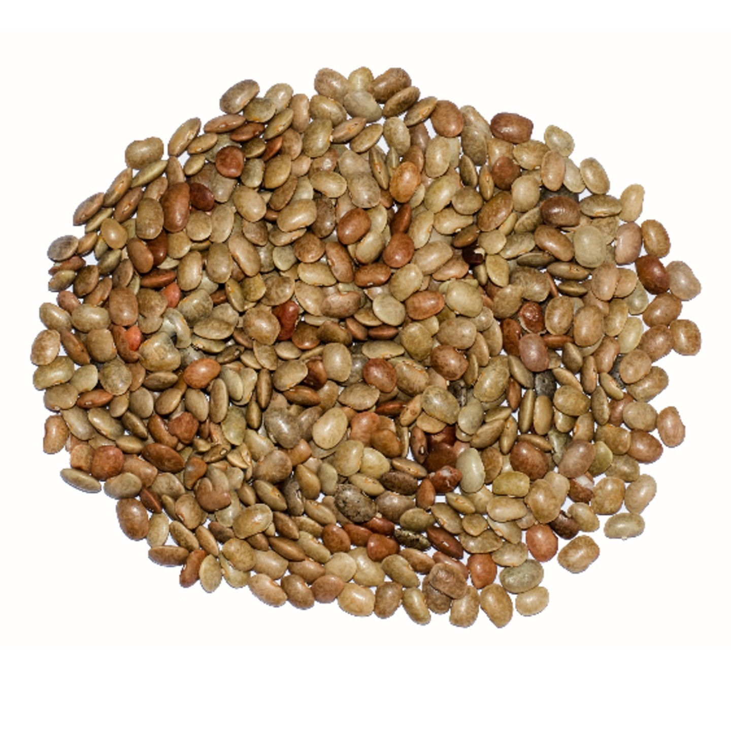 Horse Gram