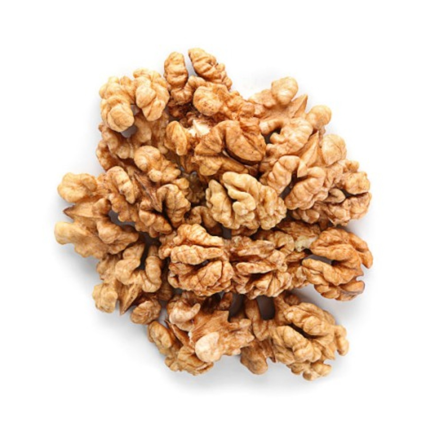Walnut
