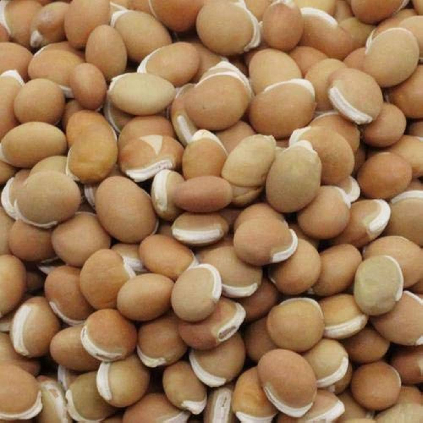 Mochai Whole