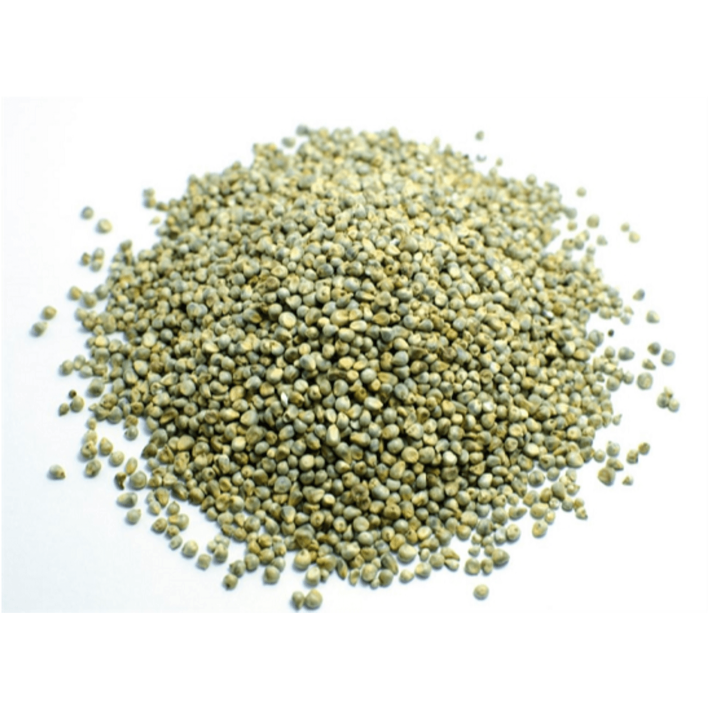 Pearl Millet Whole