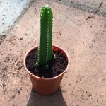 img-1541686940683