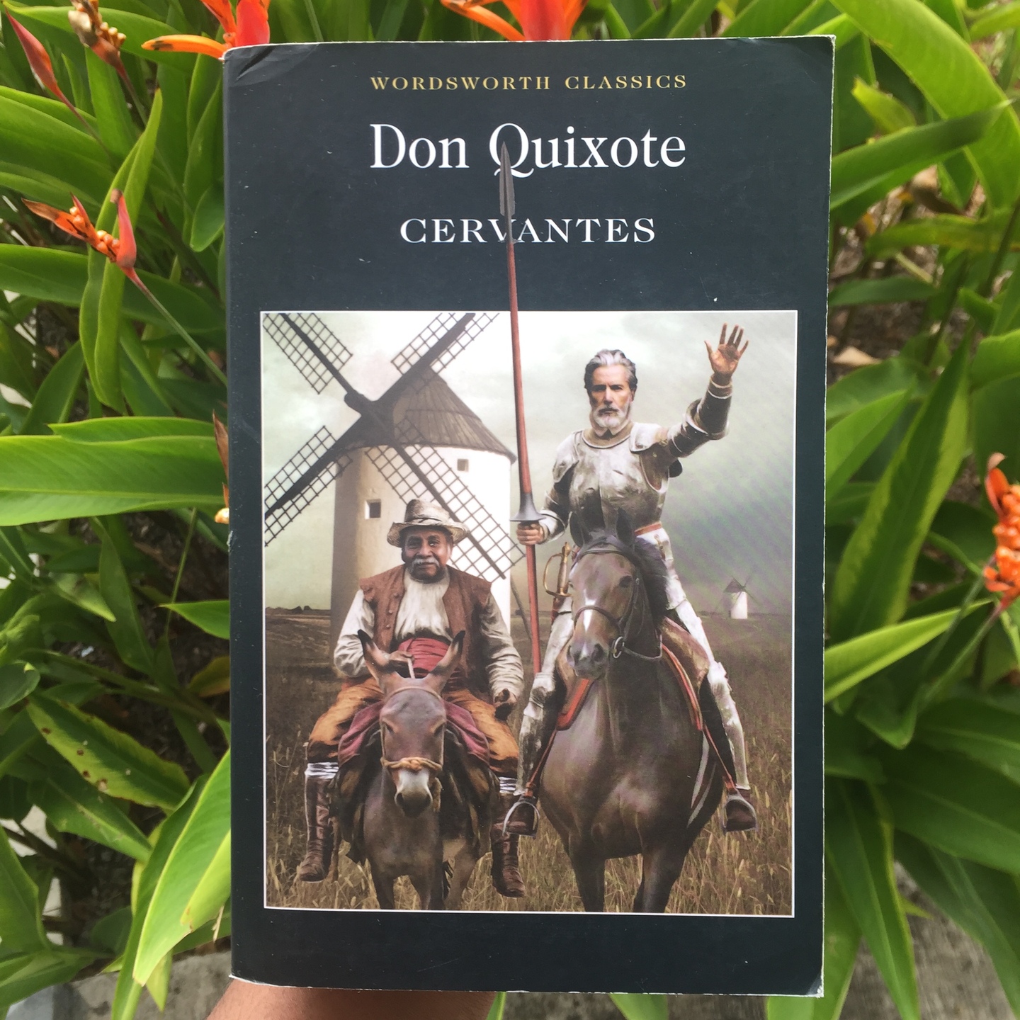 Don Quixote by Cervantes [Paperback]