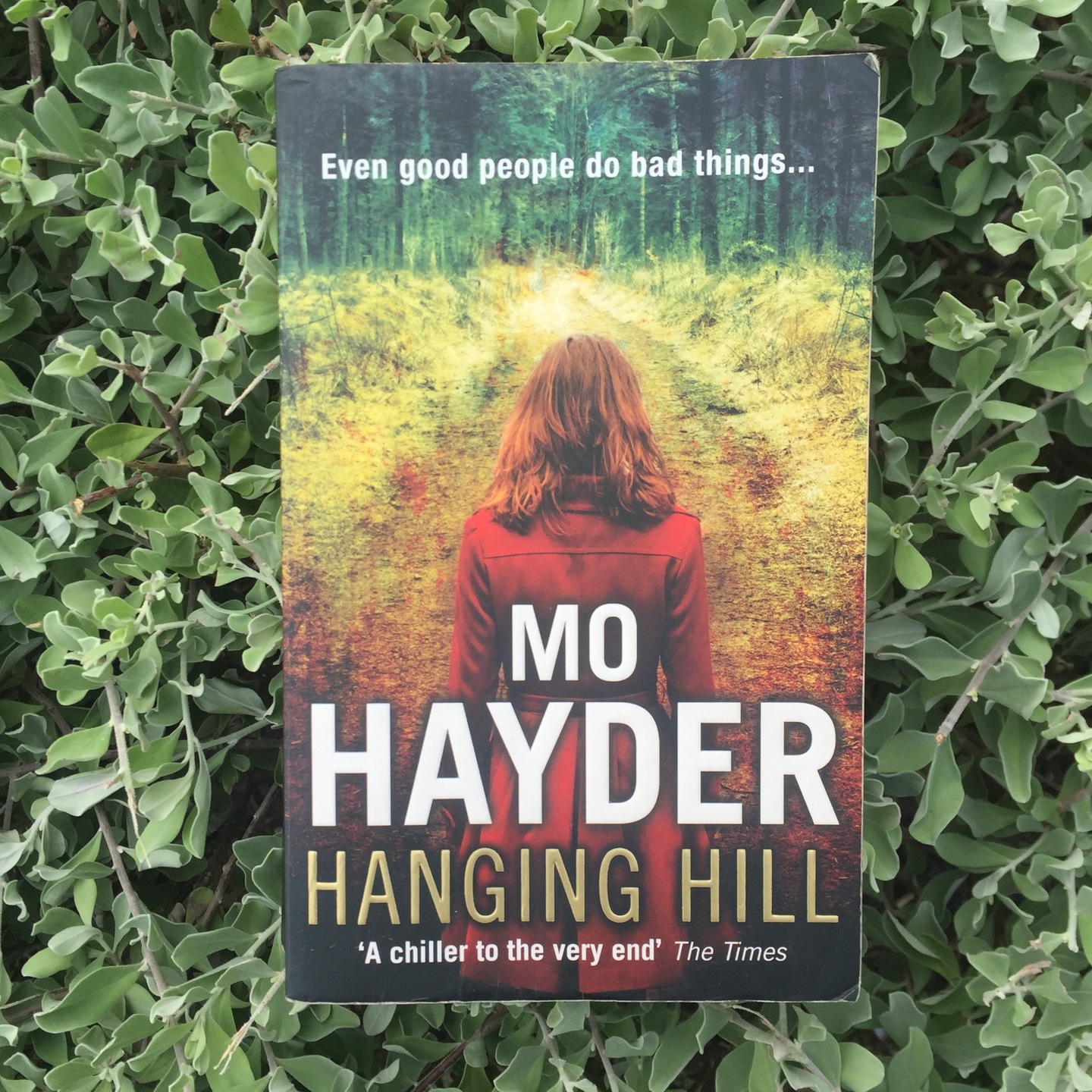 Hanging Hill by Mo Hayder [Paperback]