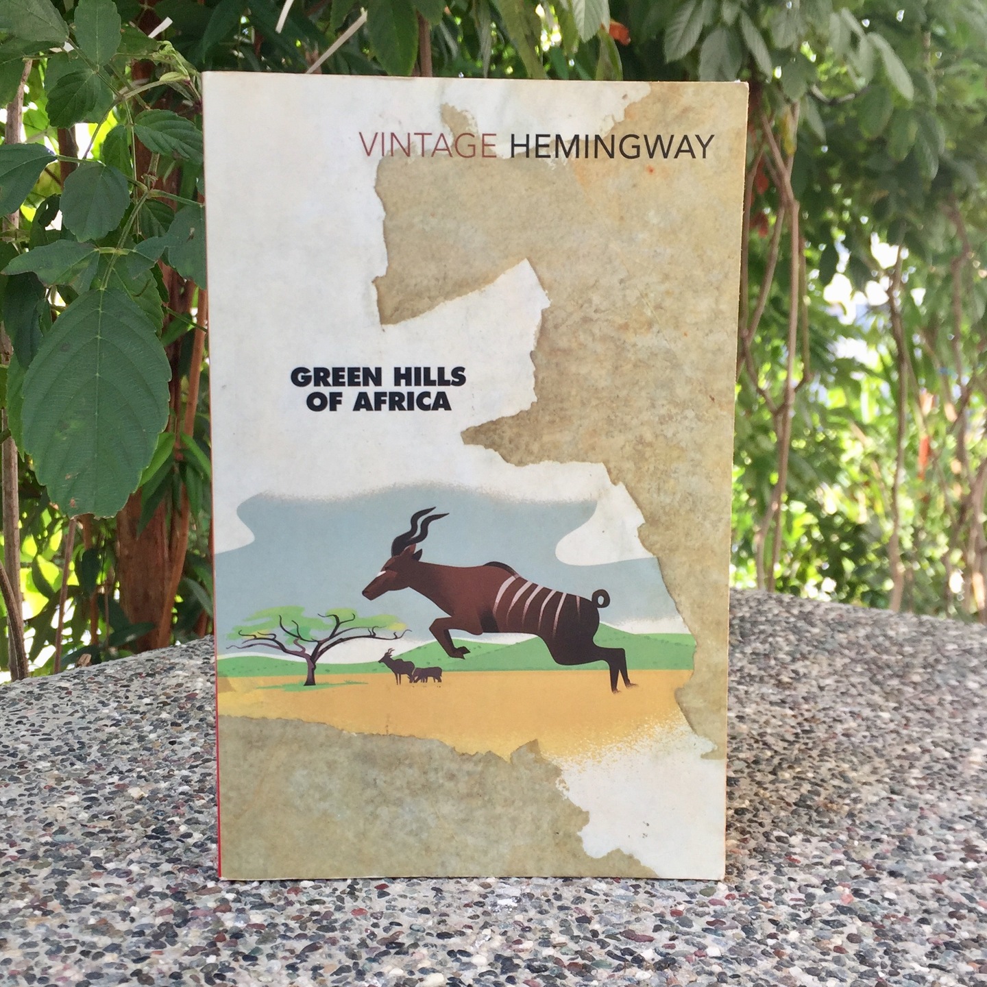 Green Hills of Africa by Ernest Hemingway [Paperback]