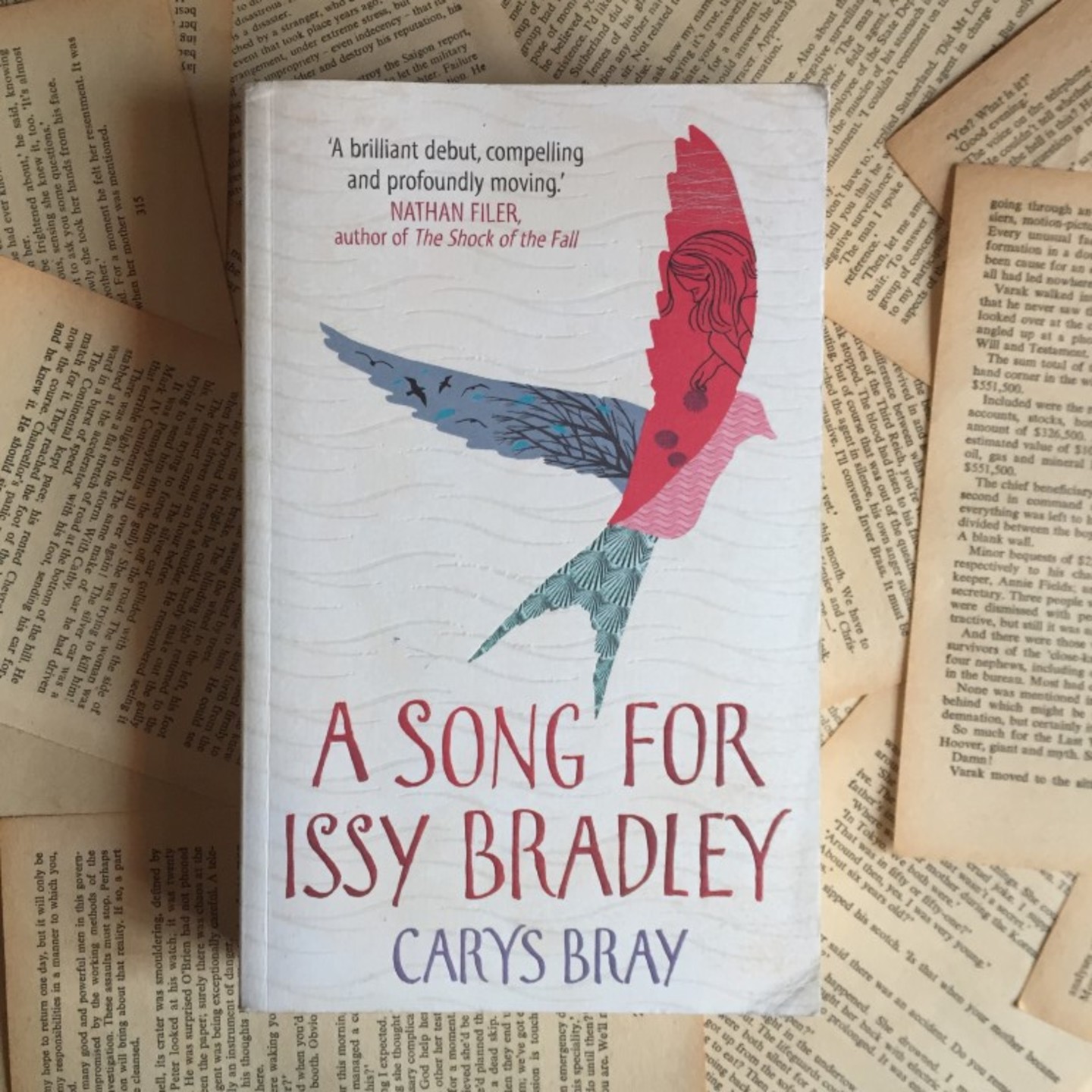 A Song for Issy Bradley by Carys Bray [Paperback]