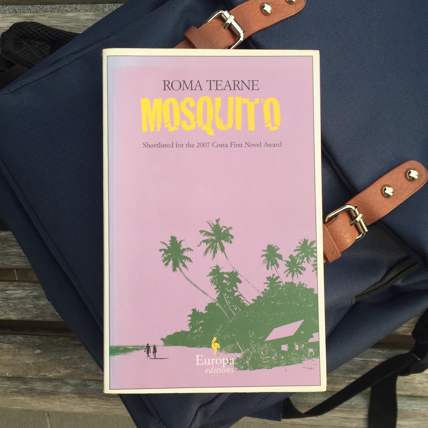 Mosquito by Roma Tearne [Paperback]