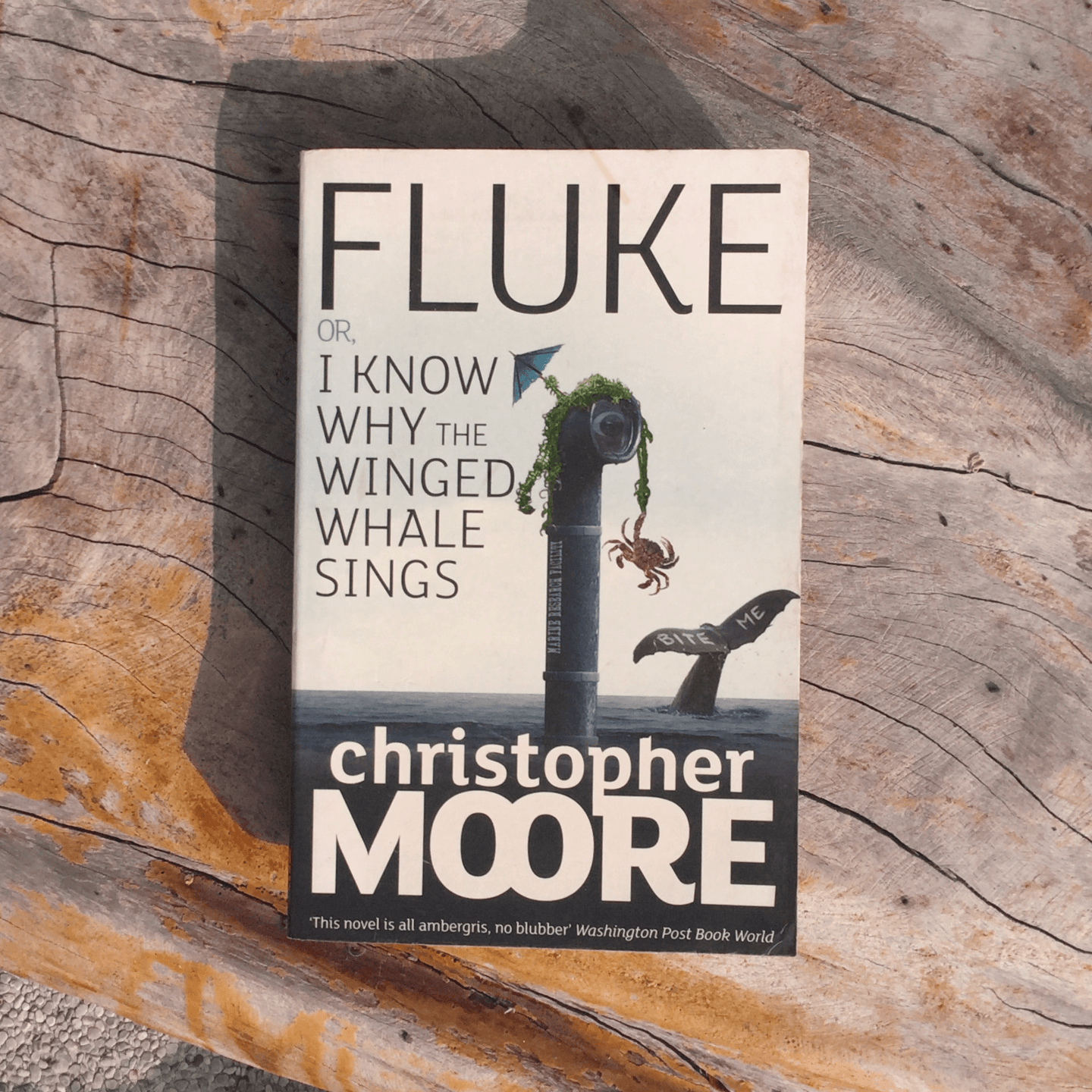 Fluke or, I Know Why the Winged Whale Sings by Christopher Moore [Paperback]