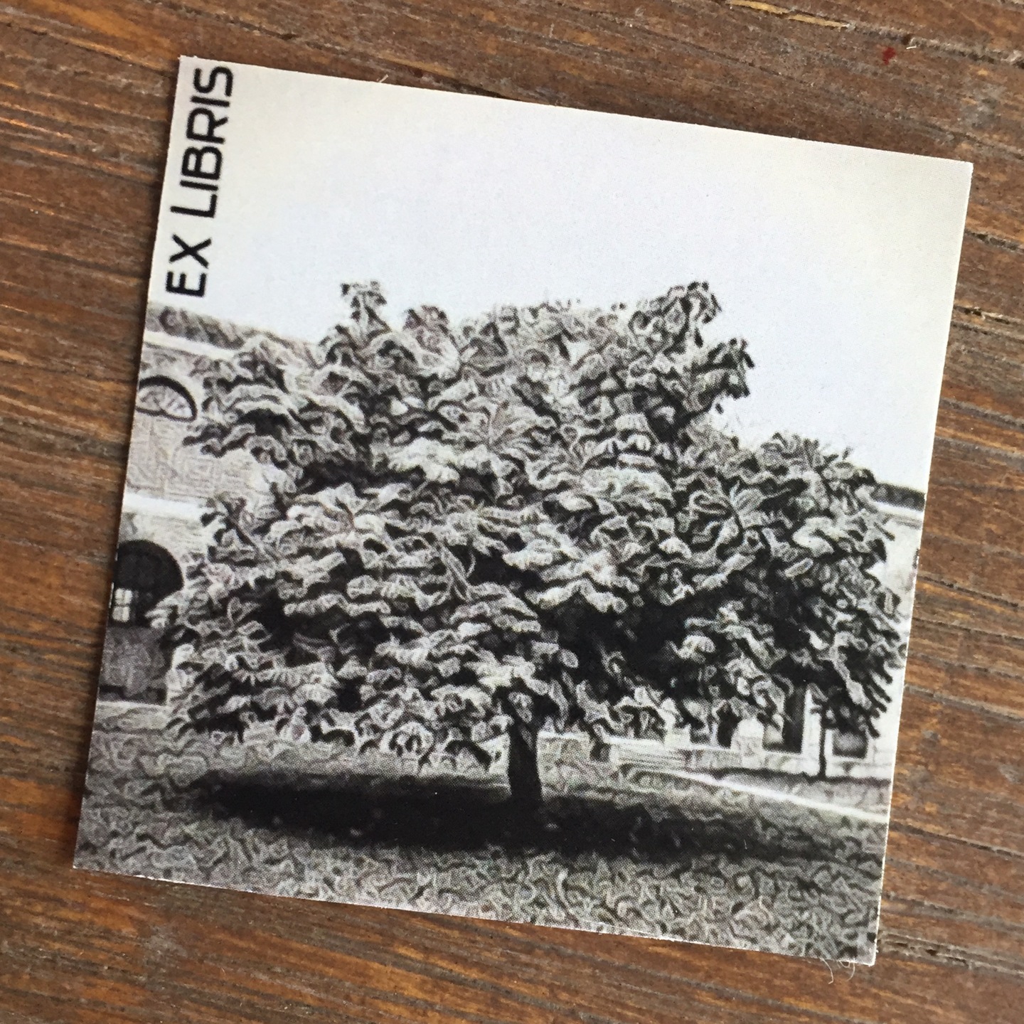 'Lonely Tree' Ex Libris Bookplate Sticker