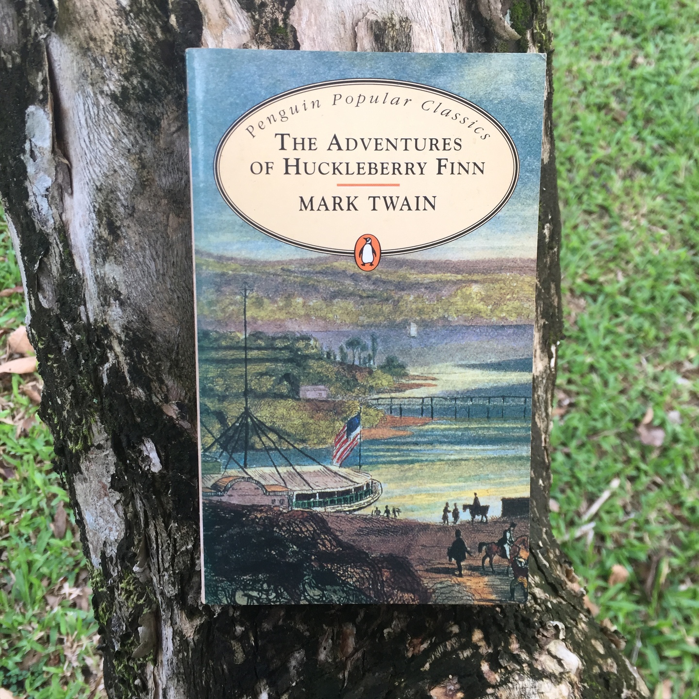 The Adventures of Huckleberry Finn by Mark Twain [Paperback]