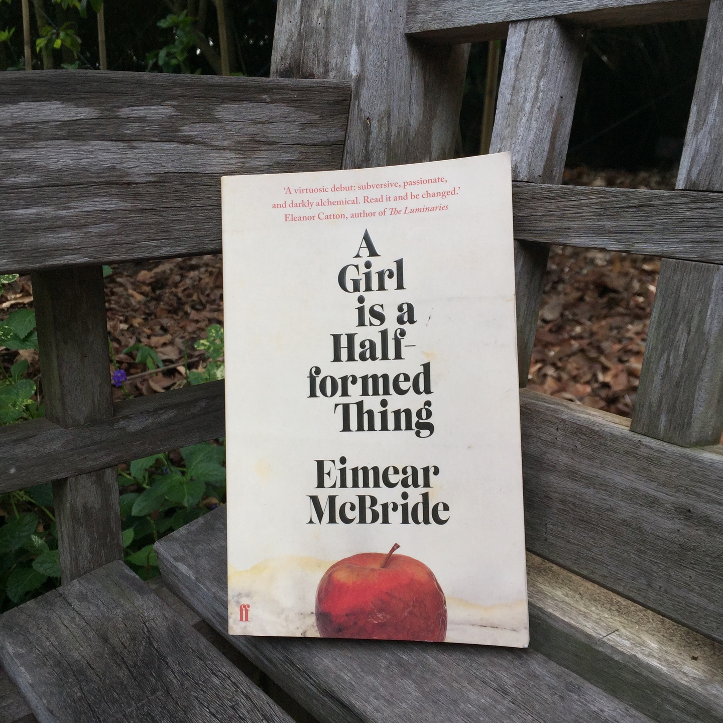 A Girl is a Half Formed Thing by Eimear McBride [Paperback]