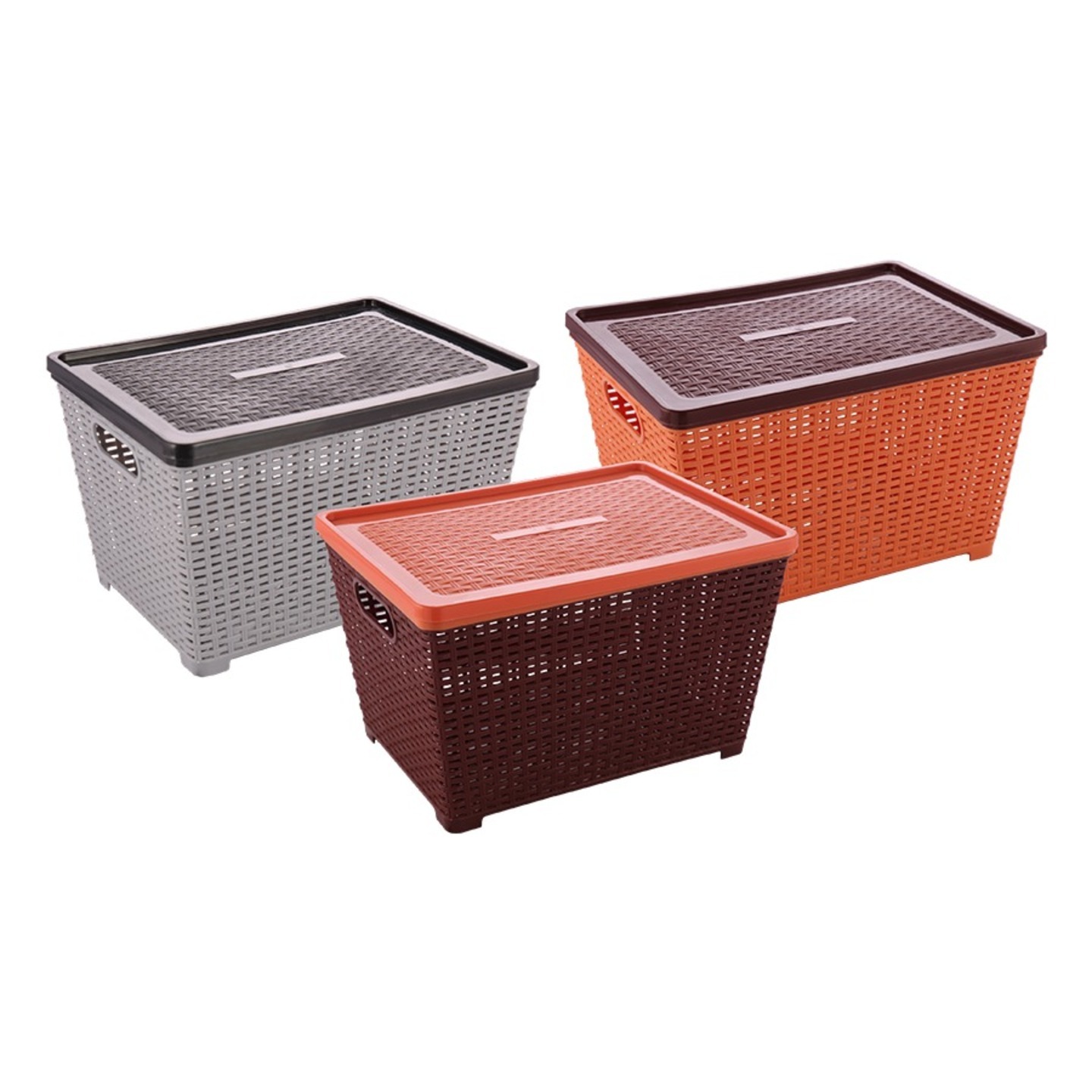 PARAS REGAL BASKET 1PC