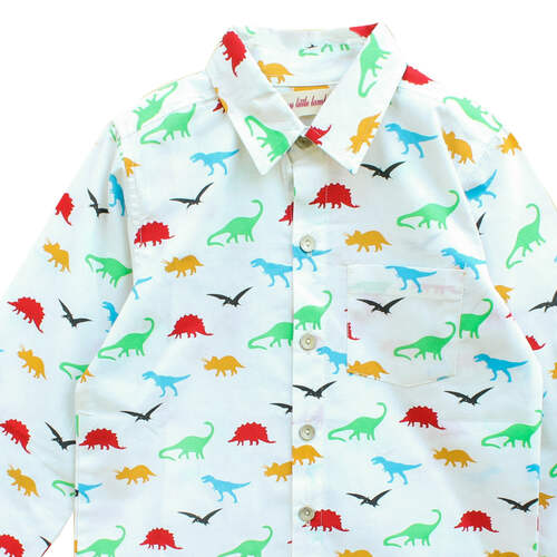 Boys Printed Dino Shirt