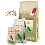 PSITTACUS Minor LoveBird - 3Kg