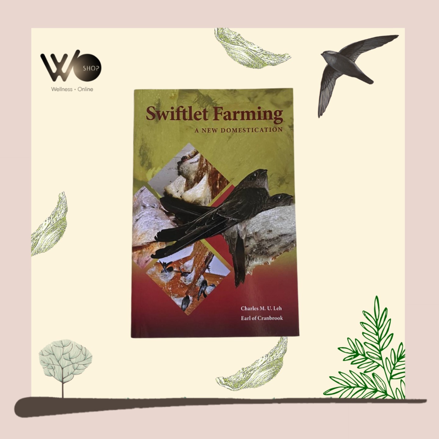 Soft Cover Swiftlet Farming A New Domestication