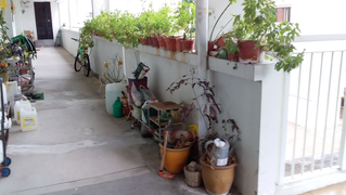 5eda12e7-6395-451c-9dc2-baae6884f2b7.jpg