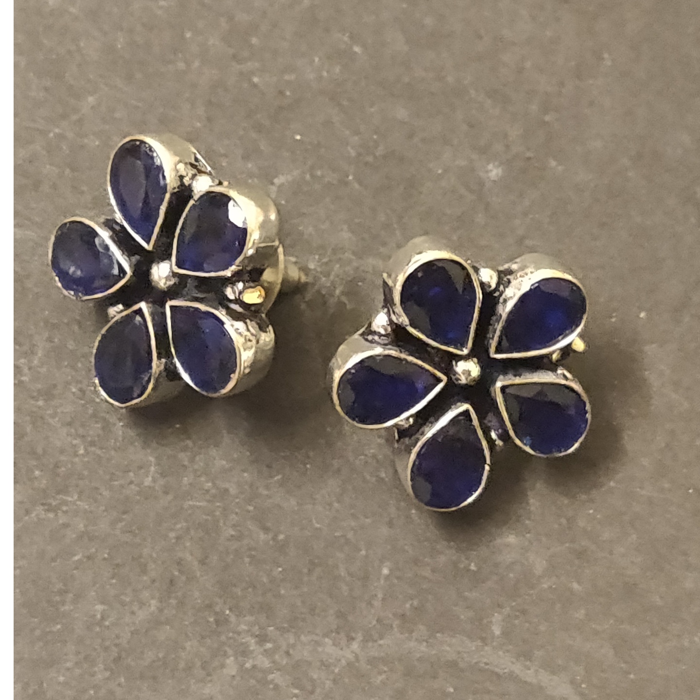 Silver Toned Earstuds in Blue