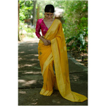 Handwoven kadhwa chiffon roopa booti banarasi saree.