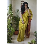 Handwoven tussar silk saree.