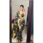 Handwoven chanderi silk saree with gold border and meenakari motifs