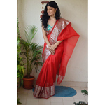 Handwoven organza sheer silk saree with banarasi border.