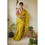Handwoven and hand embroidery tussar silk saree in natural dye