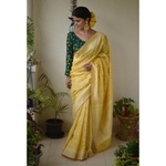 Handwoven Jamdani motif silk cotton banarasi saree in powri motif