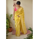 Handwoven kadhiyal jal jari motif Khaddi georgette banarsasi saree