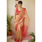 Handwoven organza 2x2 sheer silk saree with banarasi border.
