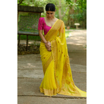 handwoven kadhwa chiffon banarsi saree